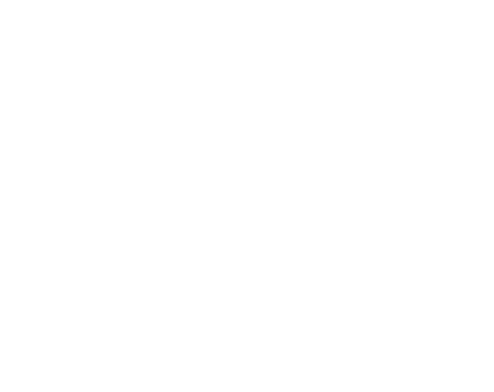 Logo 12