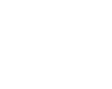 Logo 11