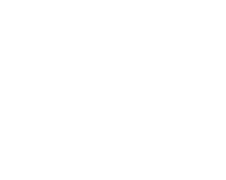 Logo 13